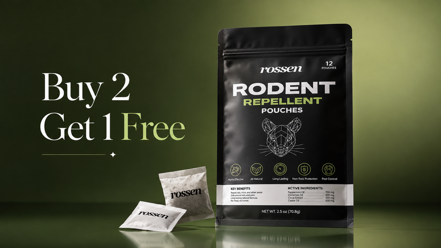 Buy 2 Get 1 Free